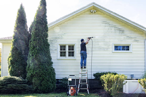 Best Eco-Friendly Pressure Washing in Sonoma State University, CA