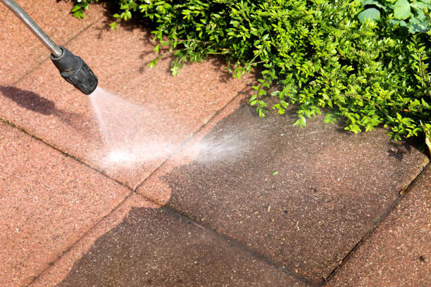 Best Residential Pressure Washing in Sonoma State University, CA